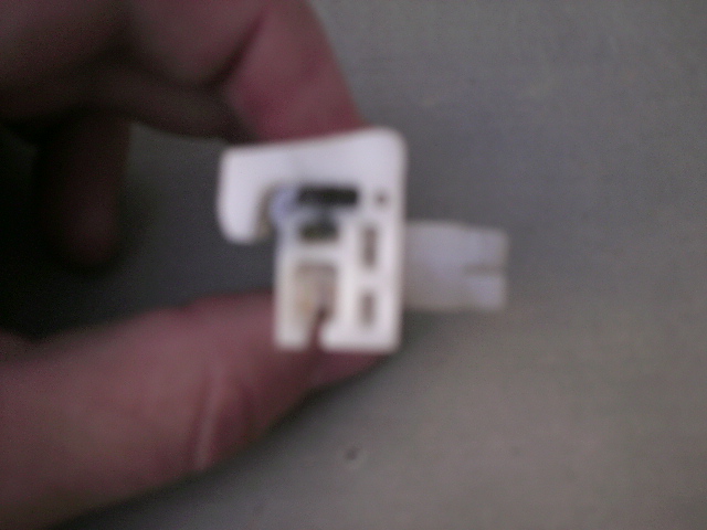 PICT0581.JPG