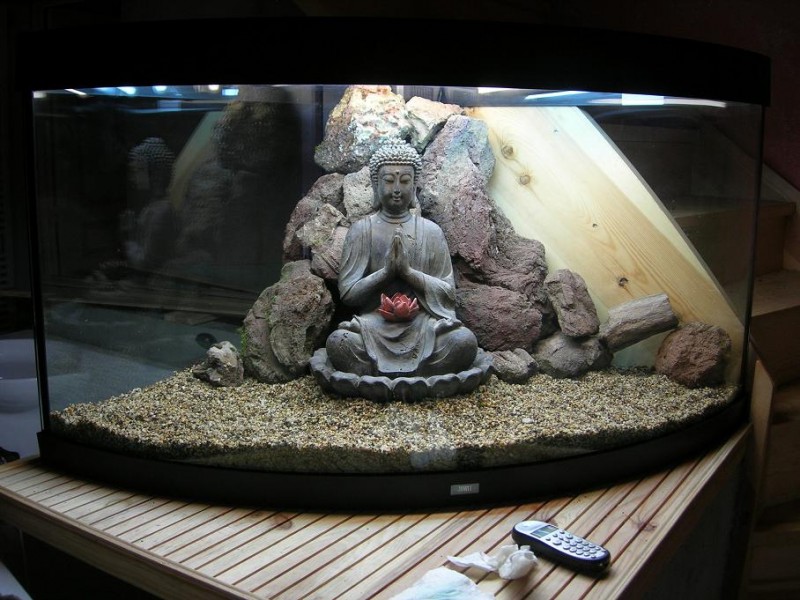 AquariumFranck.JPG