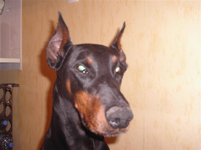 carnaval016 (Small).JPG