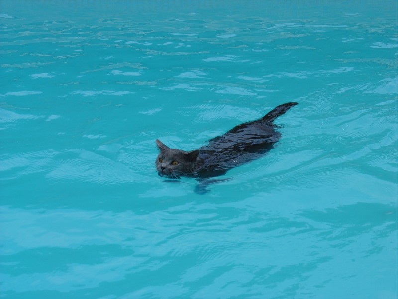 19 juin 2009.jpg