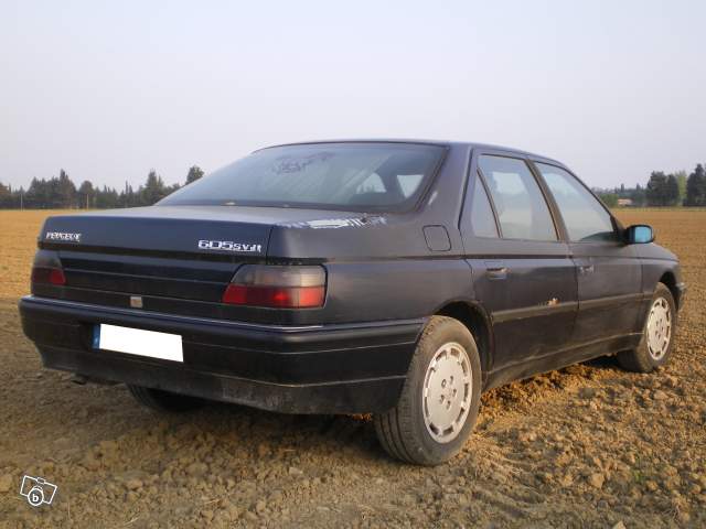5093554748.jpg
