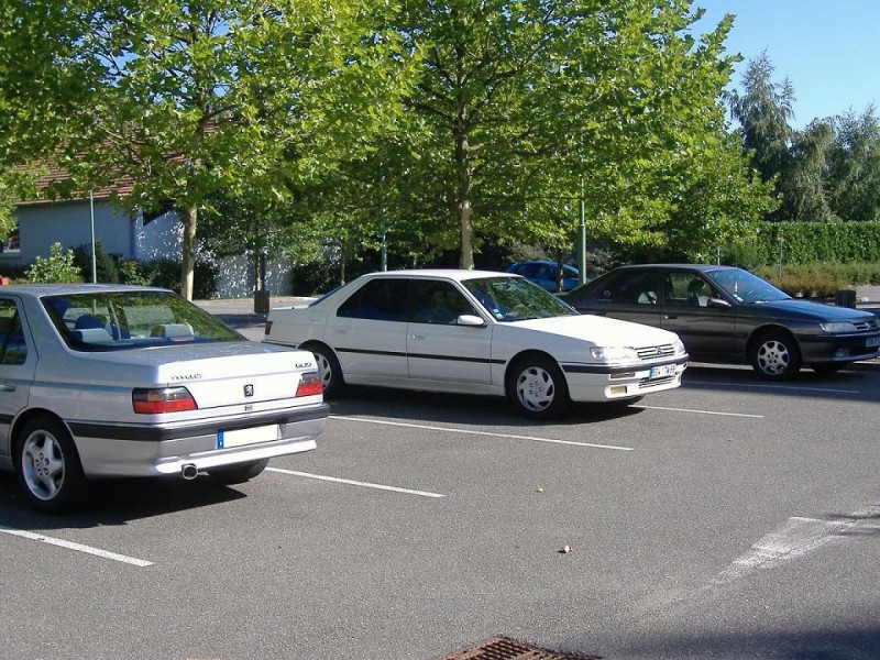DSCF1235.jpg