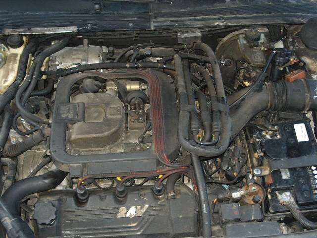S2010036.JPG