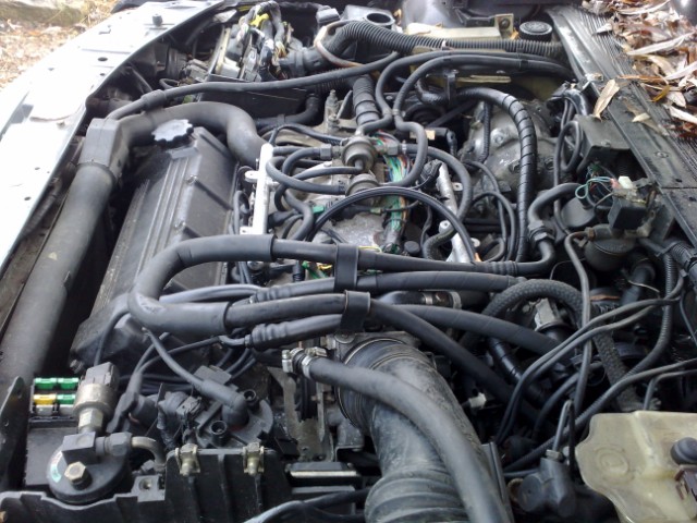 04122009013 [640x480].jpg
