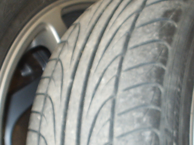 S2010001.JPG