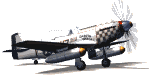 avion_1.gif