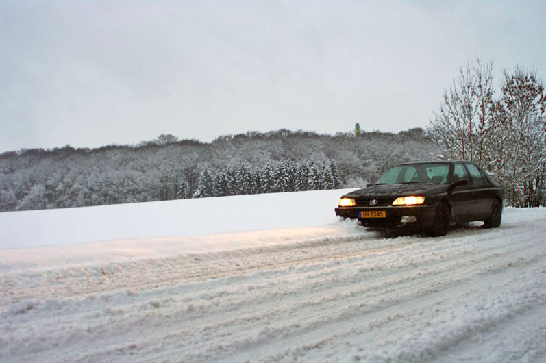 IMGP7143-l.jpg