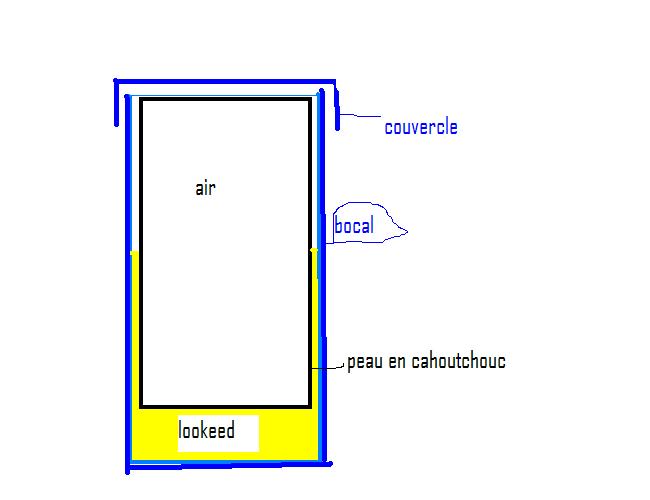 coupe bocal.JPG