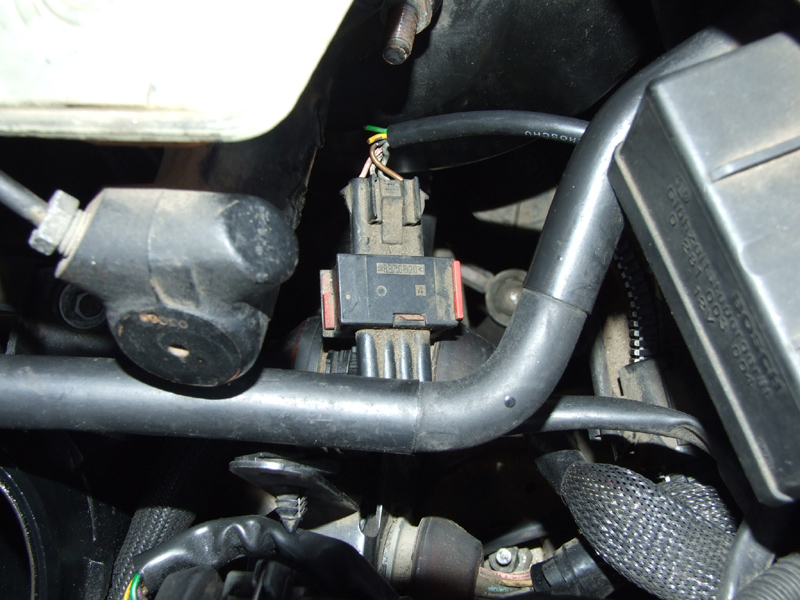 DSCF4994.JPG