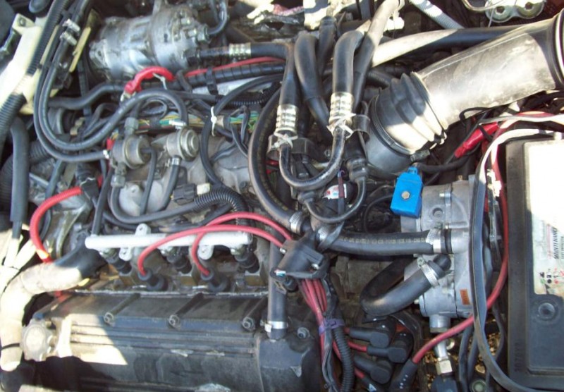 100_0536BIS.JPG