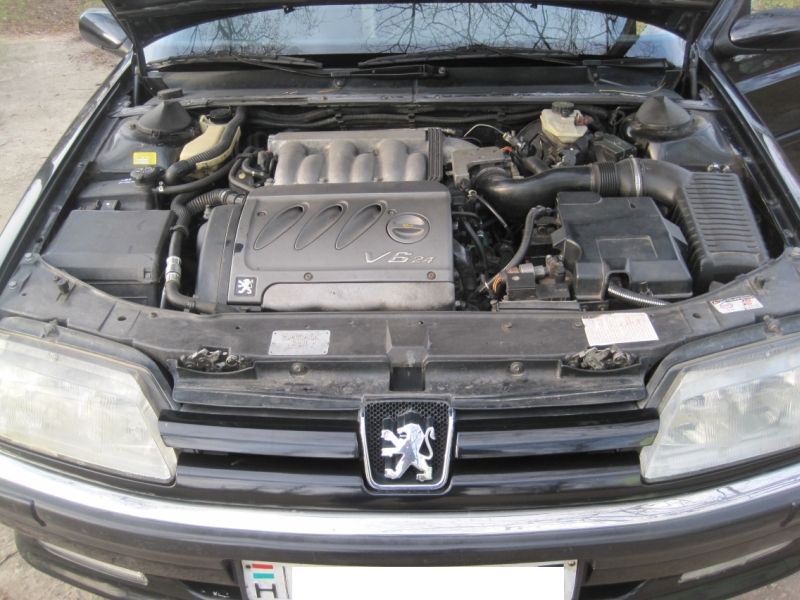 P605_front_anonim.jpg