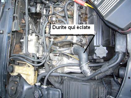 durite_mini.JPG