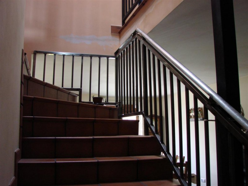 DSC02574 (Large).JPG