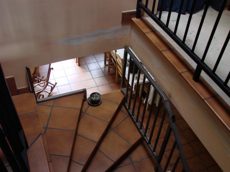 DSC02571 (Large).JPG