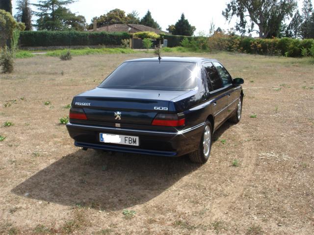 DSC02822 (Small).JPG