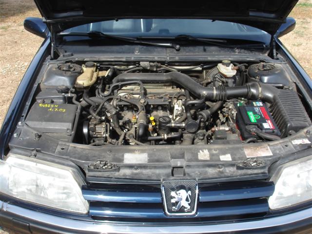 DSC02831 (Small).JPG