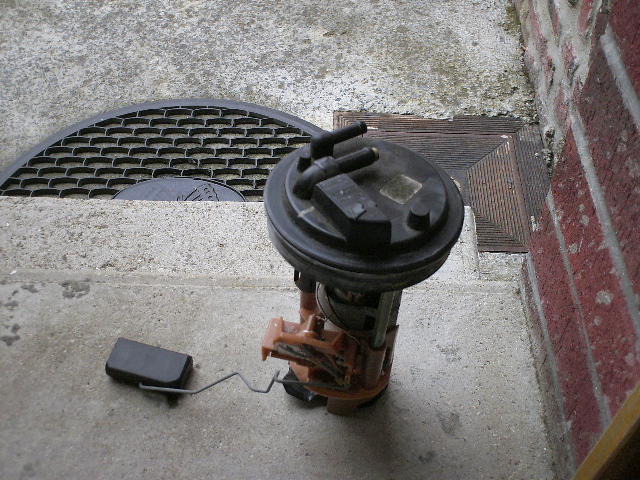 PICT0048.JPG