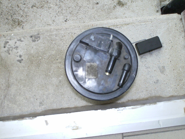 PICT0050.JPG