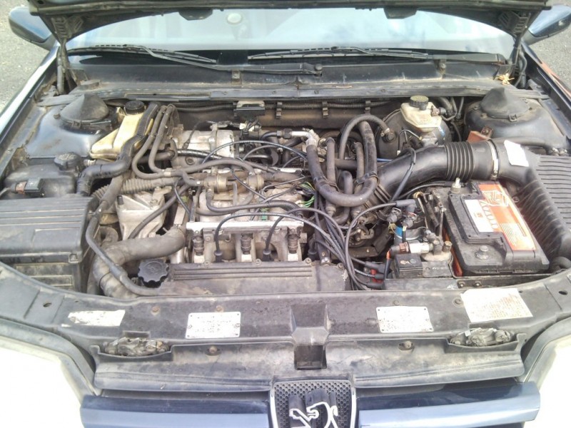 SNC00018.jpg