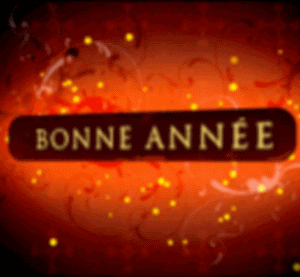 Bonne année.gif