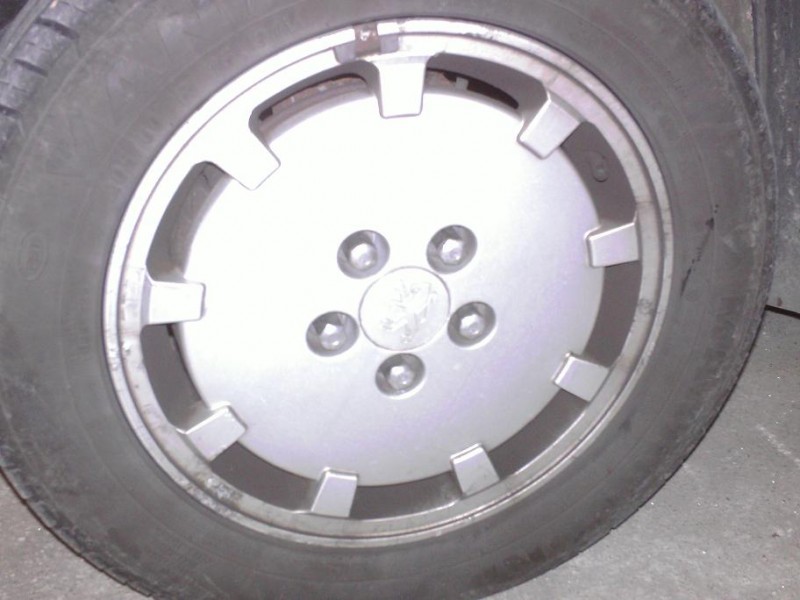 BILD0308.JPG
