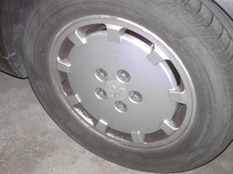 BILD0309.JPG