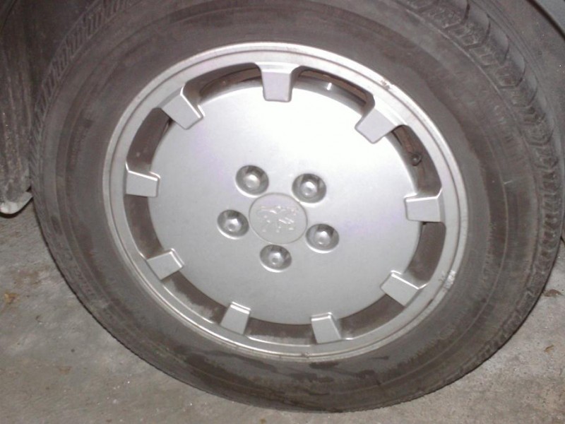 BILD0311.JPG
