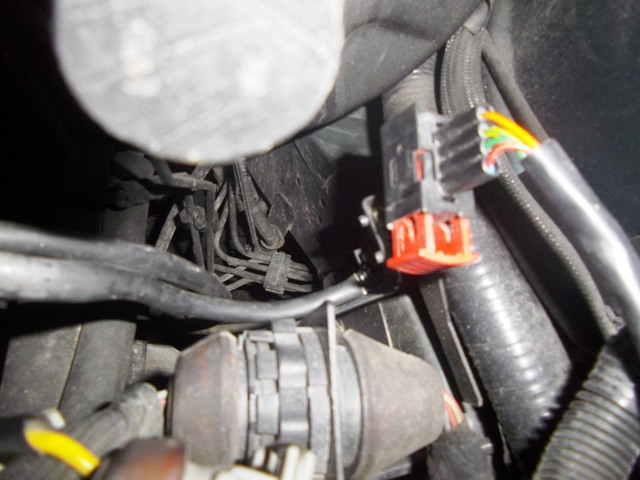 IMGP1158.JPG