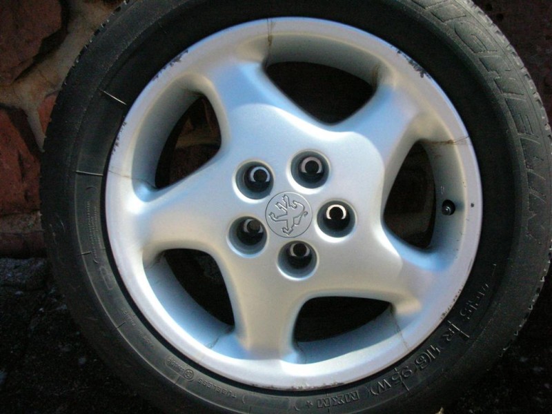 DSCN3124 (Large).JPG