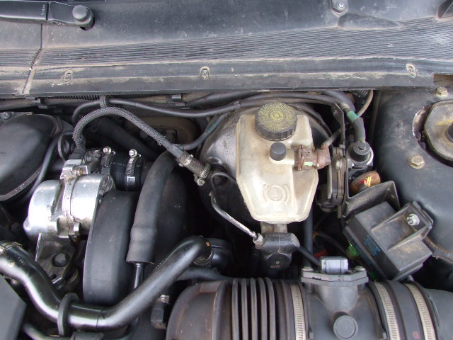 DSCF5441.jpg
