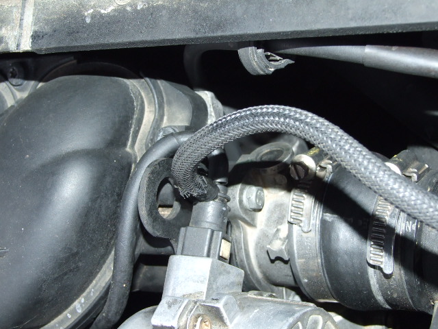 DSCF5442.jpg