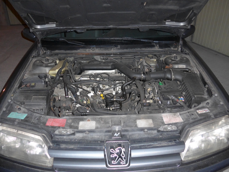 L1000461.JPG